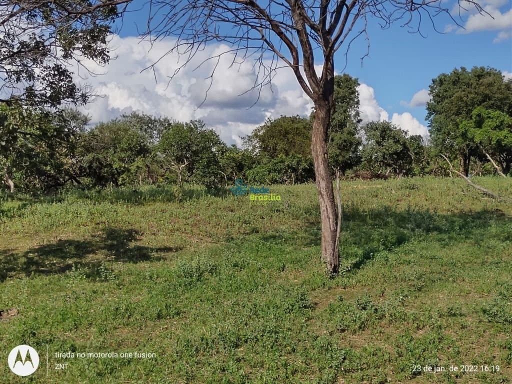 Imagem da propriedade CO8256 2