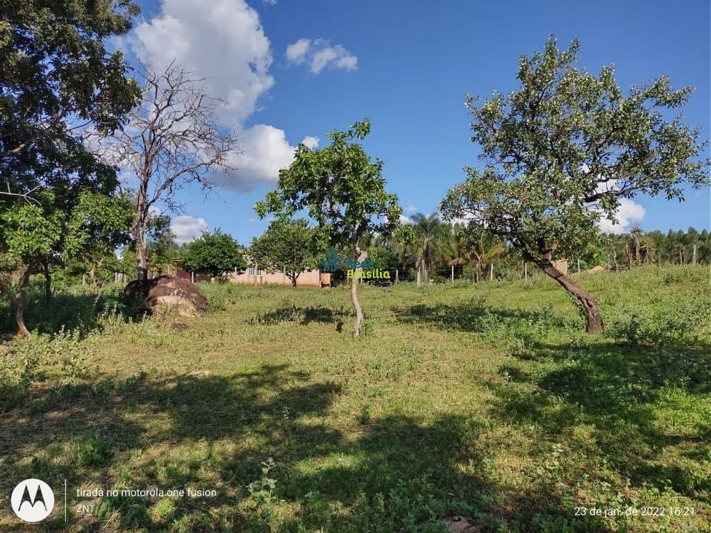 Imagem da propriedade CO8256 1
